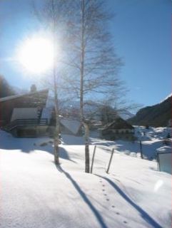 paysage neigeux