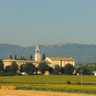 eglise et champs