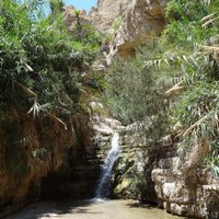cascade sur le sentier d'Ein Gedi