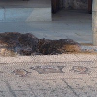 mosaïques represant des poissons à Tabgha