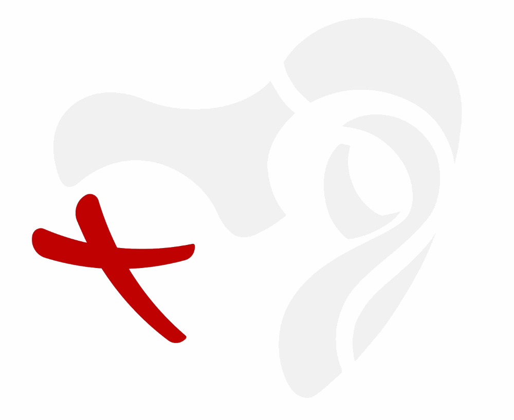 logo motif Croix du pelerin