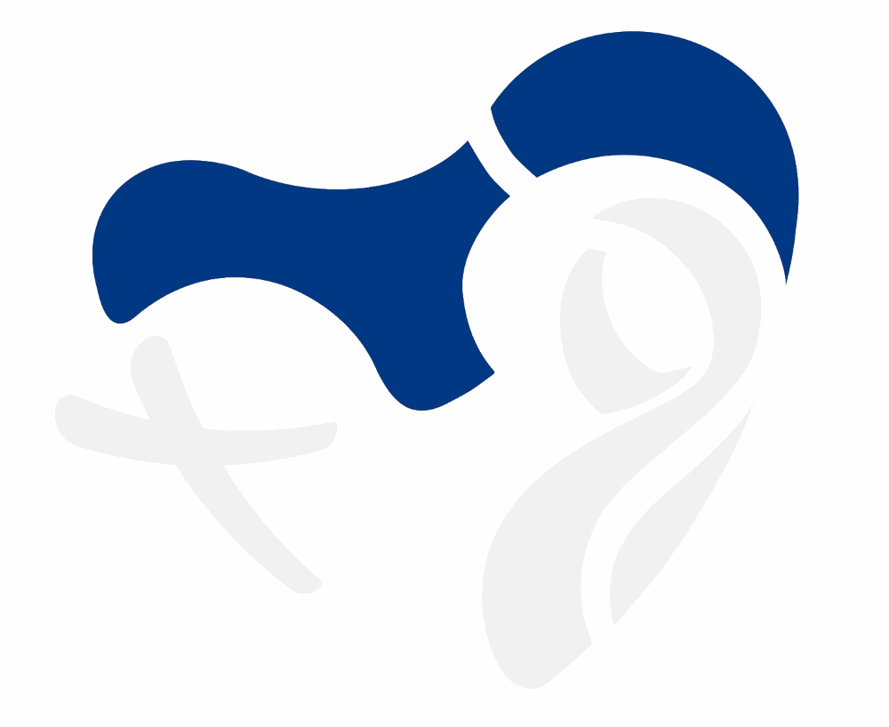 logo motif Isthme de Panama