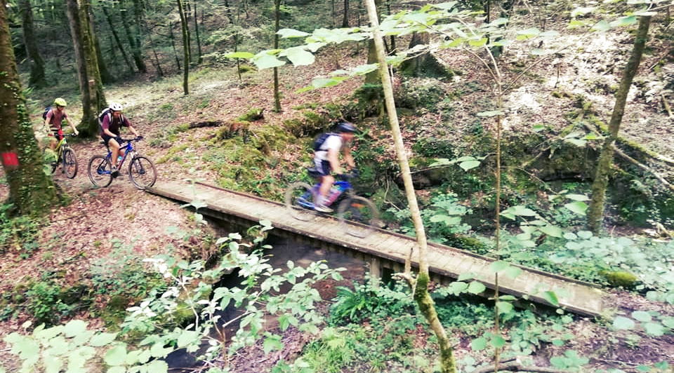 jeunes cyclistes dans une forêt